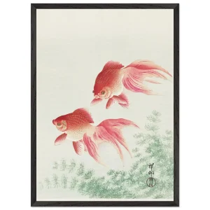 Artfulprints Poster met Lijst Ohara Koson - Two veil goldfish   - 50x70 cm - Meerkleurig